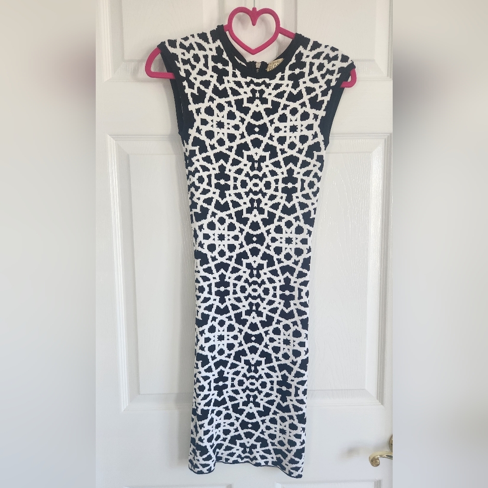 Torn by Ronny Kobo Patterned Dress